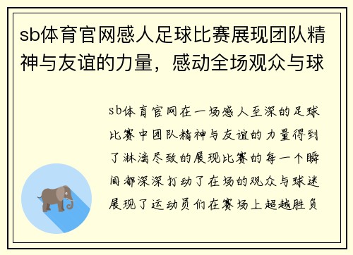 sb体育官网感人足球比赛展现团队精神与友谊的力量，感动全场观众与球迷