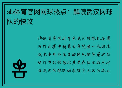 sb体育官网网球热点：解读武汉网球队的快攻